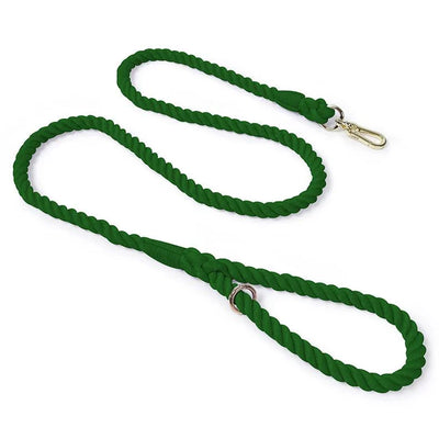https://cdn.shopify.com/s/files/1/0647/9170/7830/files/laisse-de-presentation-pour-chien-7550297.webp?v=1777923557