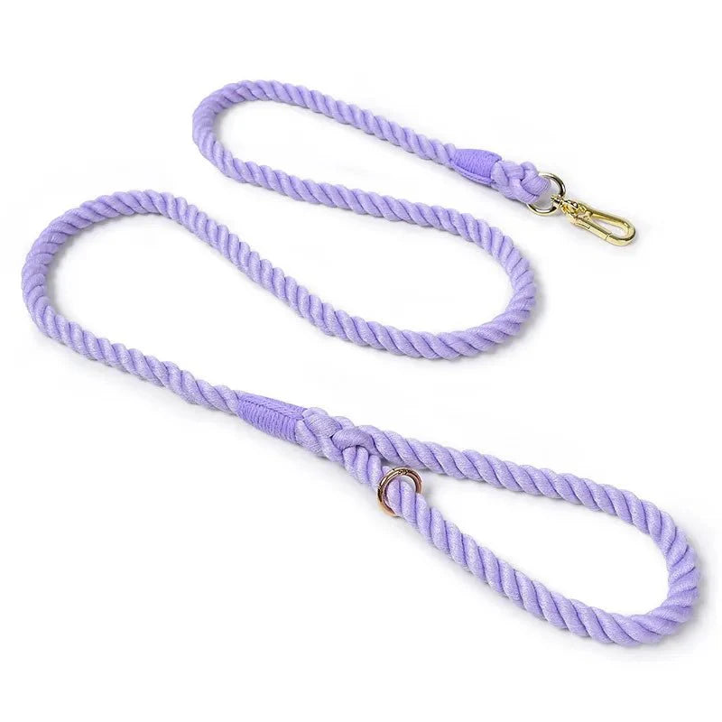 https://cdn.shopify.com/s/files/1/0647/9170/7830/files/laisse-de-presentation-pour-chien-8947827.webp?v=1777923792