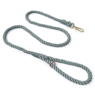 https://cdn.shopify.com/s/files/1/0647/9170/7830/files/laisse-de-presentation-pour-chien-9572855.webp?v=1777923792