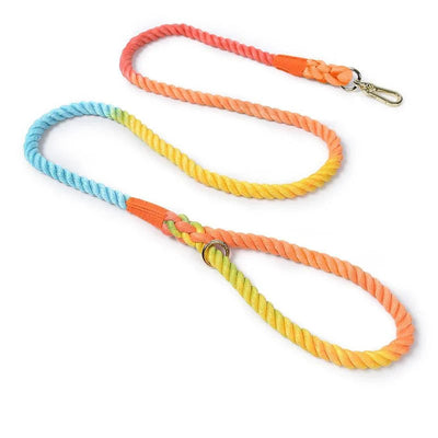 https://cdn.shopify.com/s/files/1/0647/9170/7830/files/laisse-de-presentation-pour-chien-9714347.webp?v=1777923794
