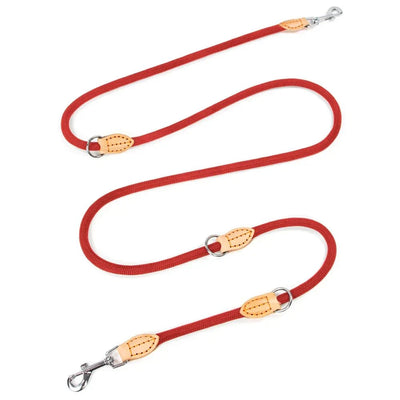 https://cdn.shopify.com/s/files/1/0647/9170/7830/files/laisse-double-attache-pour-chien-9169723.webp?v=1777923496