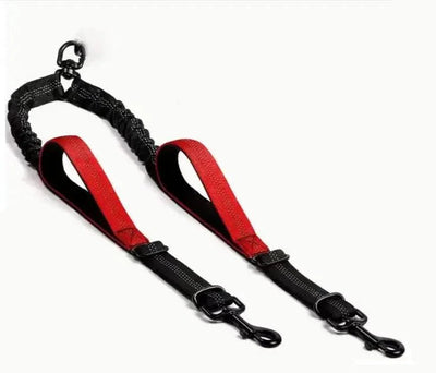 https://cdn.shopify.com/s/files/1/0647/9170/7830/files/laisse-double-poignee-pour-chien-8838891.webp?v=1777924392