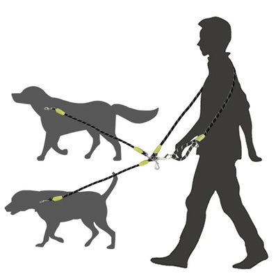 https://cdn.shopify.com/s/files/1/0647/9170/7830/files/laisse-double-pour-2-chiens-8286449.webp?v=1777923792