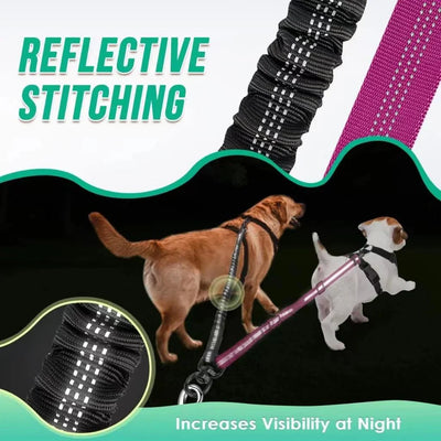 https://cdn.shopify.com/s/files/1/0647/9170/7830/files/laisse-double-pour-chien-qui-tire-1347319.webp?v=1777923791