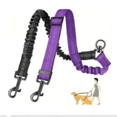 https://cdn.shopify.com/s/files/1/0647/9170/7830/files/laisse-double-pour-chien-qui-tire-2277557.webp?v=1777923791