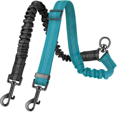 https://cdn.shopify.com/s/files/1/0647/9170/7830/files/laisse-double-pour-chien-qui-tire-2947152.webp?v=1777923791