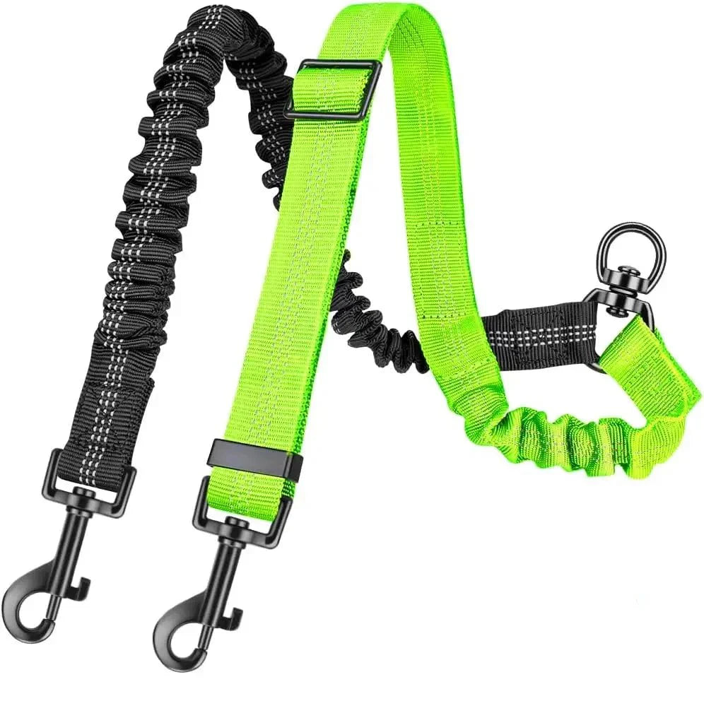 https://cdn.shopify.com/s/files/1/0647/9170/7830/files/laisse-double-pour-chien-retractable-2458161.webp?v=1777925117