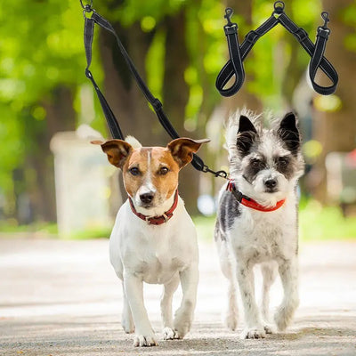 https://cdn.shopify.com/s/files/1/0647/9170/7830/files/laisse-double-pour-chien-zero-enchevetrement-6719189.webp?v=1777925647