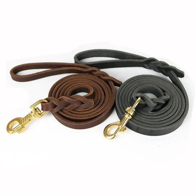 https://cdn.shopify.com/s/files/1/0647/9170/7830/files/laisse-en-cuir-pour-gros-chien-4538032.webp?v=1777923975