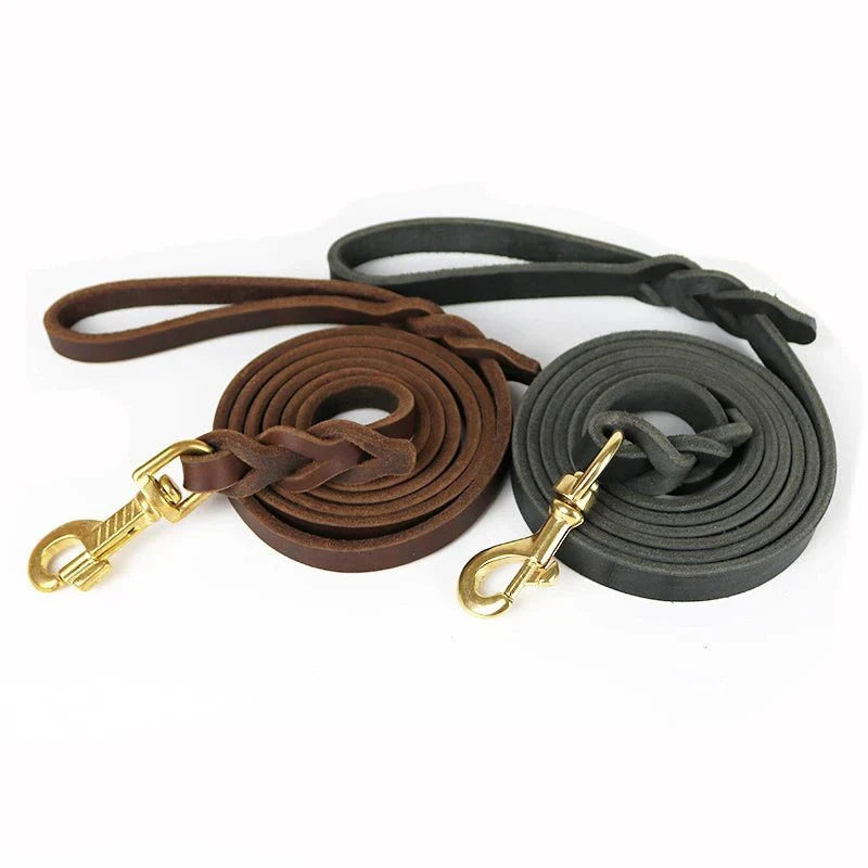 https://cdn.shopify.com/s/files/1/0647/9170/7830/files/laisse-en-cuir-pour-gros-chien-7914929.webp?v=1777923976