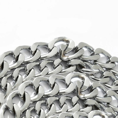 https://cdn.shopify.com/s/files/1/0647/9170/7830/files/laisse-en-metal-pour-chien-2598530.webp?v=1777923910