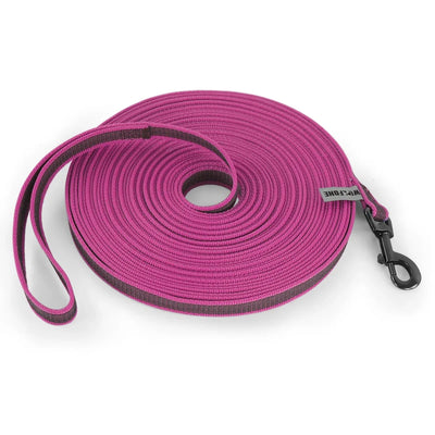 https://cdn.shopify.com/s/files/1/0647/9170/7830/files/laisse-en-nylon-pour-chiot-2604723.webp?v=1777924332