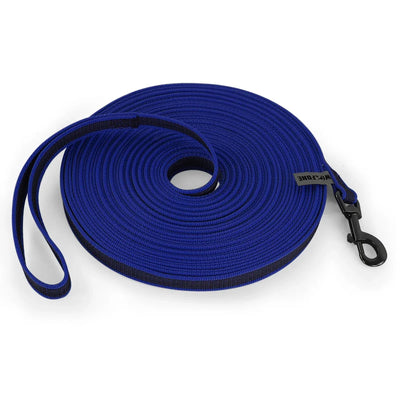 https://cdn.shopify.com/s/files/1/0647/9170/7830/files/laisse-en-nylon-pour-chiot-3209915.webp?v=1777924331