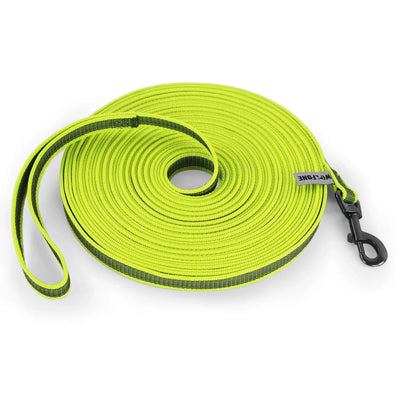 https://cdn.shopify.com/s/files/1/0647/9170/7830/files/laisse-en-nylon-pour-chiot-3429863.webp?v=1777924333