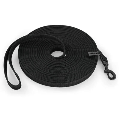 https://cdn.shopify.com/s/files/1/0647/9170/7830/files/laisse-en-nylon-pour-chiot-3929639.webp?v=1777924332