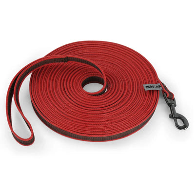 https://cdn.shopify.com/s/files/1/0647/9170/7830/files/laisse-en-nylon-pour-chiot-4075152.webp?v=1777924332