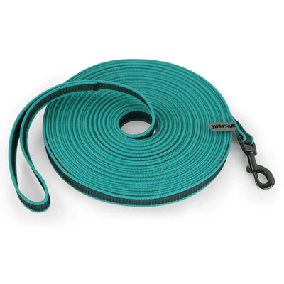 https://cdn.shopify.com/s/files/1/0647/9170/7830/files/laisse-en-nylon-pour-chiot-5275888.webp?v=1777924333
