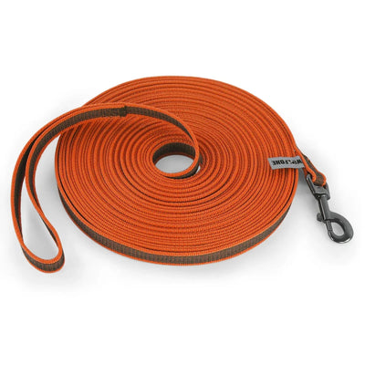 https://cdn.shopify.com/s/files/1/0647/9170/7830/files/laisse-en-nylon-pour-chiot-9071042.webp?v=1777924333