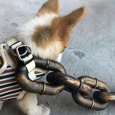 https://cdn.shopify.com/s/files/1/0647/9170/7830/files/laisse-imitation-chaine-pour-chien-3032763.webp?v=1777925474