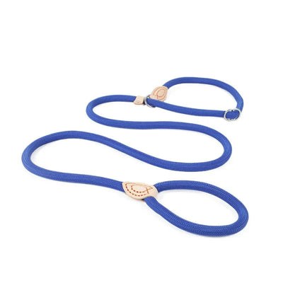 https://cdn.shopify.com/s/files/1/0647/9170/7830/files/laisse-lasso-avec-frein-1268451.webp?v=1777924150