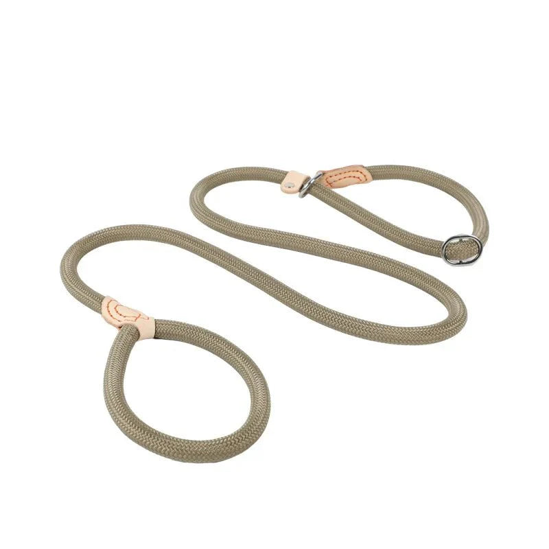 https://cdn.shopify.com/s/files/1/0647/9170/7830/files/laisse-lasso-avec-frein-1575154.webp?v=1777923673