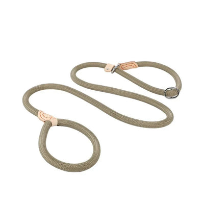 https://cdn.shopify.com/s/files/1/0647/9170/7830/files/laisse-lasso-avec-frein-1575154.webp?v=1777923673