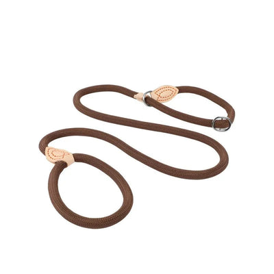 https://cdn.shopify.com/s/files/1/0647/9170/7830/files/laisse-lasso-avec-frein-5536012.webp?v=1777923674