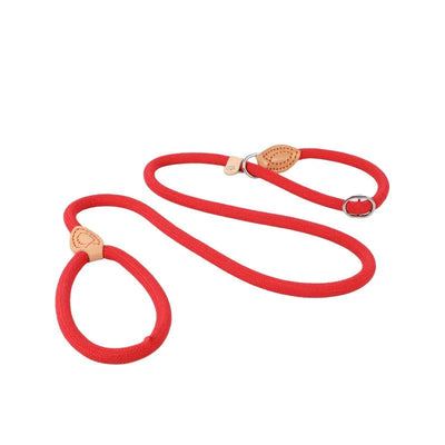https://cdn.shopify.com/s/files/1/0647/9170/7830/files/laisse-lasso-avec-frein-7057274.webp?v=1777923673