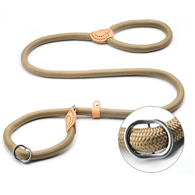https://cdn.shopify.com/s/files/1/0647/9170/7830/files/laisse-lasso-avec-frein-1575154.webp?v=1777923673