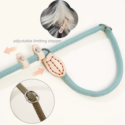 https://cdn.shopify.com/s/files/1/0647/9170/7830/files/laisse-lasso-avec-frein-9894860.webp?v=1777923672