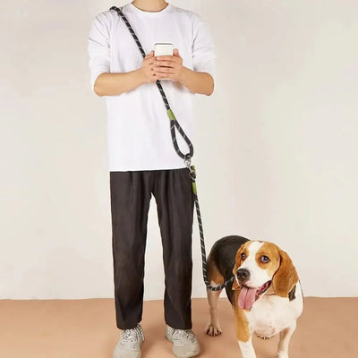 https://cdn.shopify.com/s/files/1/0647/9170/7830/files/laisse-lasso-avec-securite-8281211.webp?v=1777924029