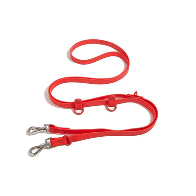 https://cdn.shopify.com/s/files/1/0647/9170/7830/files/laisse-lasso-biothane-1368334.webp?v=1777924326