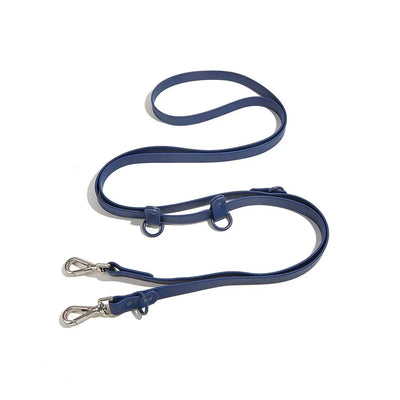 https://cdn.shopify.com/s/files/1/0647/9170/7830/files/laisse-lasso-biothane-2541324.webp?v=1777923732