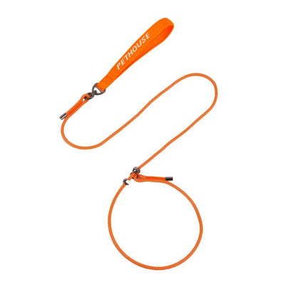 https://cdn.shopify.com/s/files/1/0647/9170/7830/files/laisse-lasso-chien-qui-tire-3287278.webp?v=1777923190