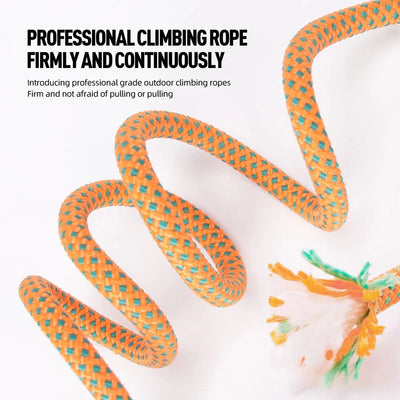 https://cdn.shopify.com/s/files/1/0647/9170/7830/files/laisse-lasso-chien-qui-tire-6742746.webp?v=1777923190