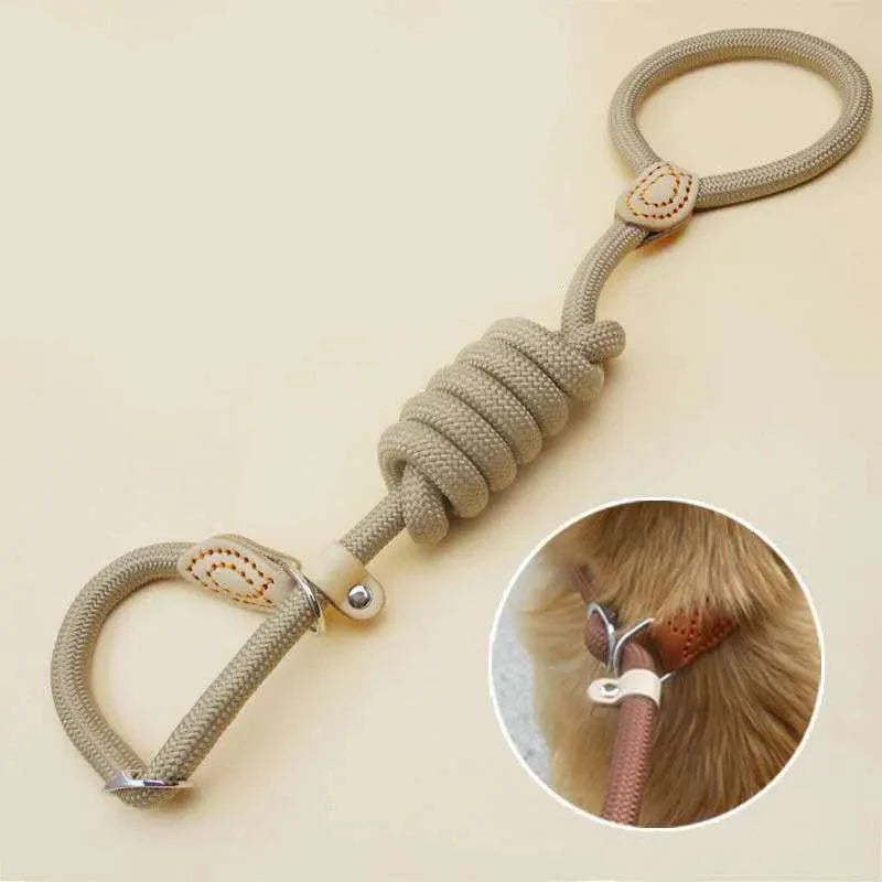 https://cdn.shopify.com/s/files/1/0647/9170/7830/files/laisse-lasso-chiot-3361633.webp?v=1777923796