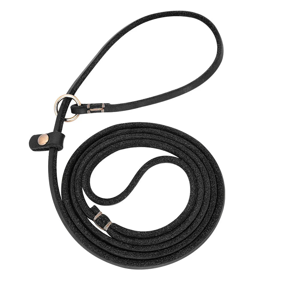 https://cdn.shopify.com/s/files/1/0647/9170/7830/files/laisse-lasso-cuir-7125078.webp?v=1777923131