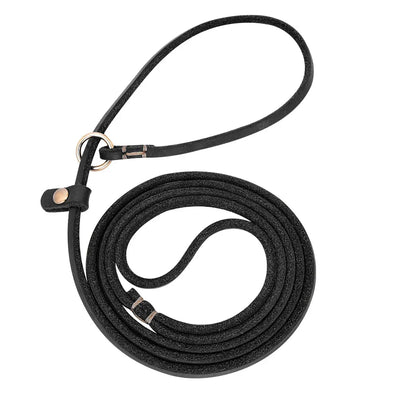 https://cdn.shopify.com/s/files/1/0647/9170/7830/files/laisse-lasso-cuir-7125078.webp?v=1777923131