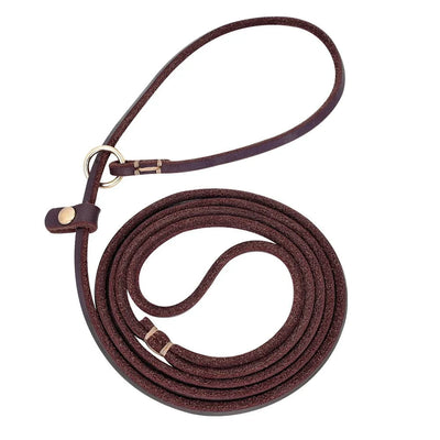 https://cdn.shopify.com/s/files/1/0647/9170/7830/files/laisse-lasso-cuir-8672470.webp?v=1777923131