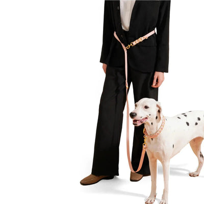 https://cdn.shopify.com/s/files/1/0647/9170/7830/files/laisse-lasso-de-luxe-1864122.webp?v=1777924333