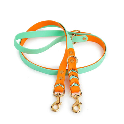 https://cdn.shopify.com/s/files/1/0647/9170/7830/files/laisse-lasso-de-luxe-7973107.webp?v=1777924333