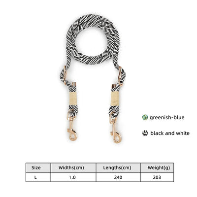 https://cdn.shopify.com/s/files/1/0647/9170/7830/files/laisse-lasso-design-pour-chien-3254441.webp?v=1777924879