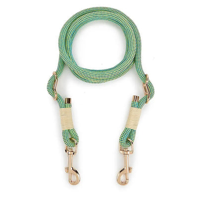 https://cdn.shopify.com/s/files/1/0647/9170/7830/files/laisse-lasso-design-pour-chien-4704375.webp?v=1777924878