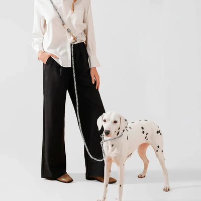 https://cdn.shopify.com/s/files/1/0647/9170/7830/files/laisse-lasso-design-pour-chien-8110764.webp?v=1777924878
