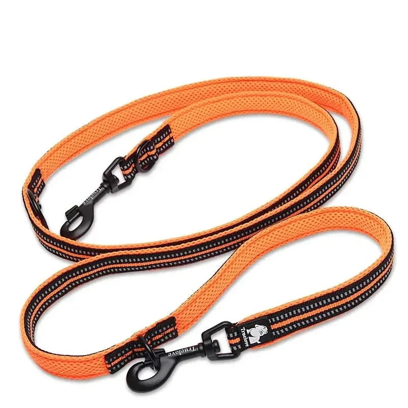https://cdn.shopify.com/s/files/1/0647/9170/7830/files/laisse-lasso-dressage-6351132.webp?v=1777923677