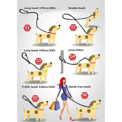 https://cdn.shopify.com/s/files/1/0647/9170/7830/files/laisse-lasso-dressage-8493022.webp?v=1777923678