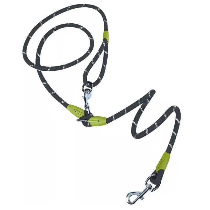 https://cdn.shopify.com/s/files/1/0647/9170/7830/files/laisse-lasso-nylon-6304780.webp?v=1777924033