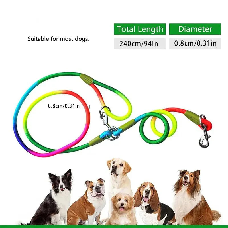 https://cdn.shopify.com/s/files/1/0647/9170/7830/files/laisse-lasso-nylon-6304780.webp?v=1777924033