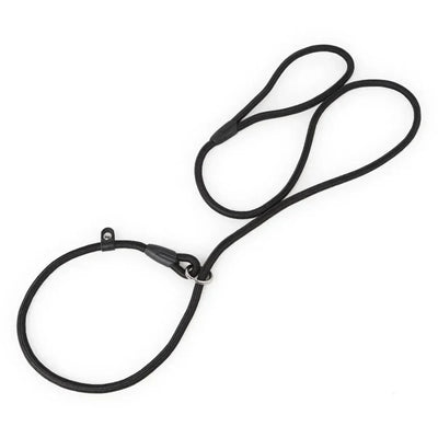 https://cdn.shopify.com/s/files/1/0647/9170/7830/files/laisse-lasso-pour-chien-130cm-8206774.webp?v=1777924334