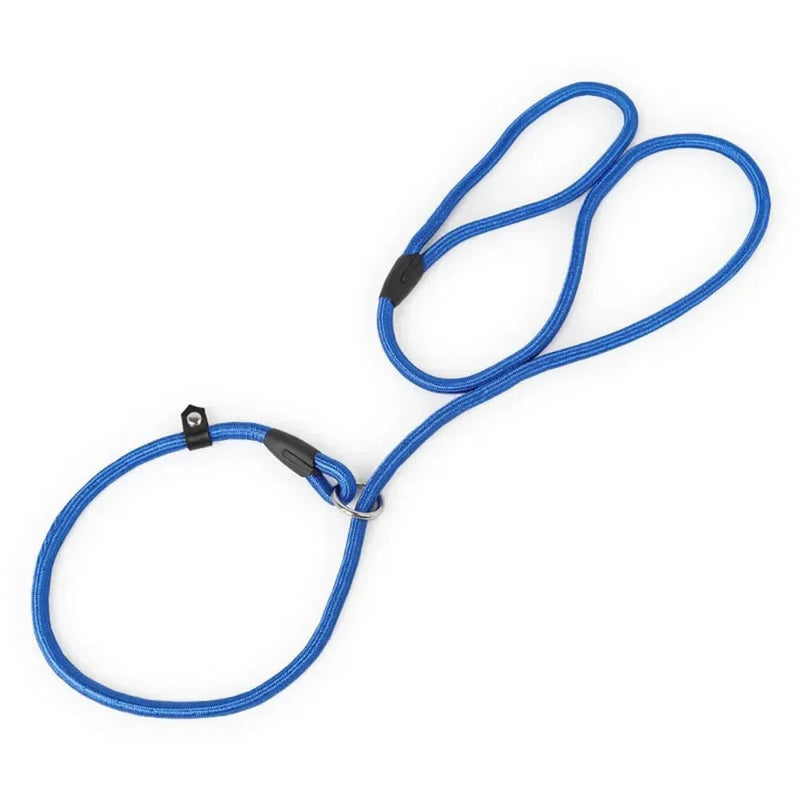 https://cdn.shopify.com/s/files/1/0647/9170/7830/files/laisse-lasso-pour-chien-130cm-8575865.webp?v=1777924333